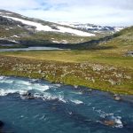 Flåm to Myrdal by train